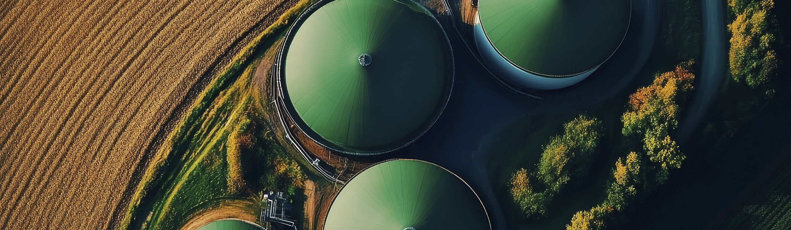 Biogas